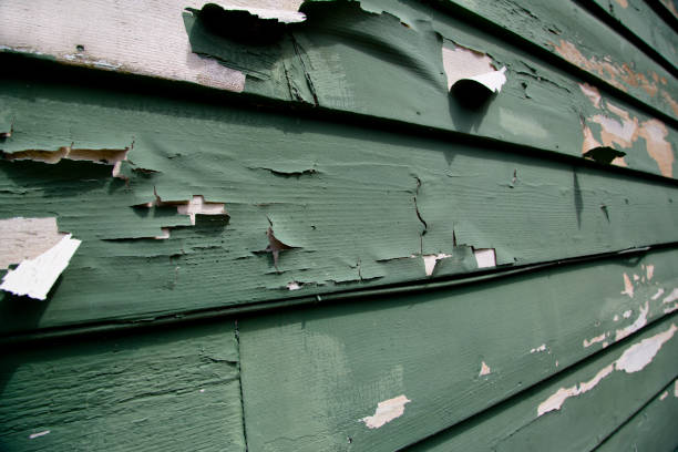 Professional Junk Removal in Plumas Lake, CA